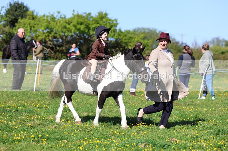 3E7A8859 - Class 2: Lead rein