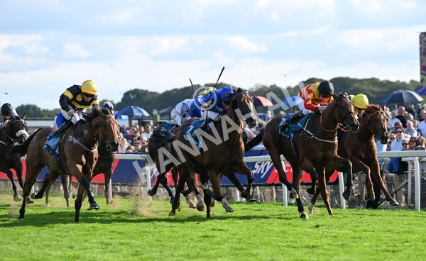 220825-270 Fifth Column - Race 7 5.20pm Sky Bet Mile Handicap