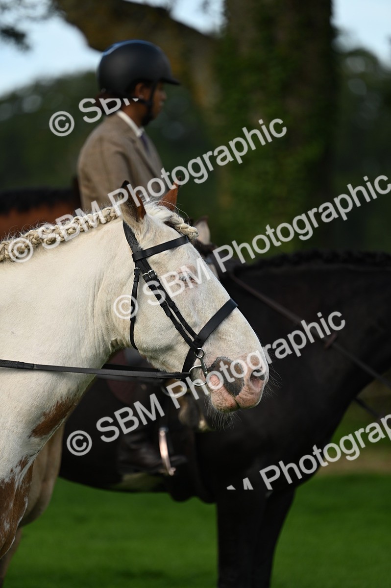 SBM_02054 - S2 - TSR Ridden Horse Showing