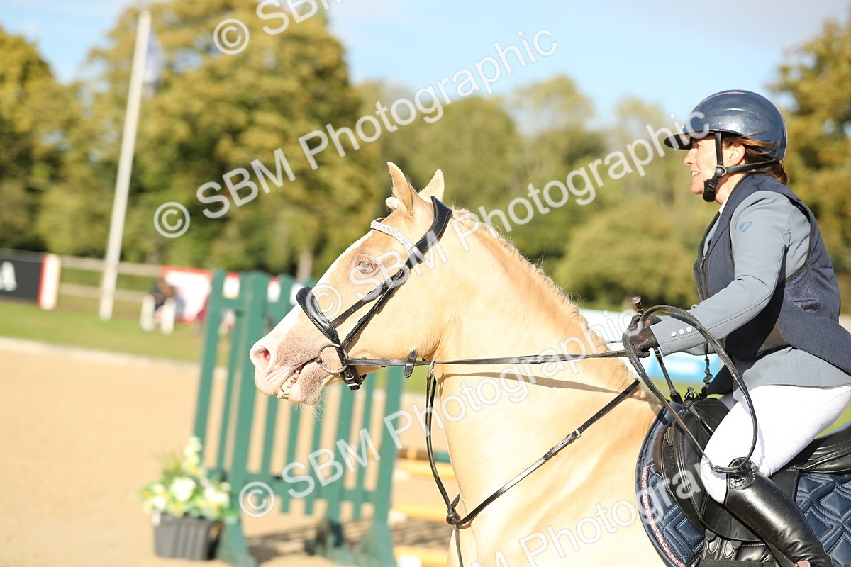 SBM_11443 - J37 - Veteran Rider 75cm