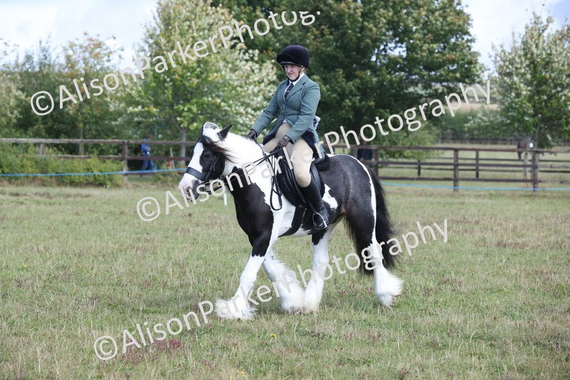 20250831-2439 - Class 16 - Family Pony