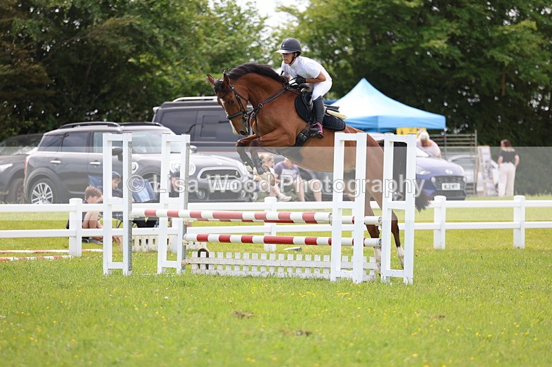 3E7A1502 - Class 13: Senior British Novice/90cm open