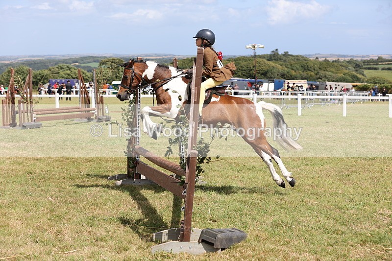 JPP_2164 - Class 19: Working Hunter 60cm