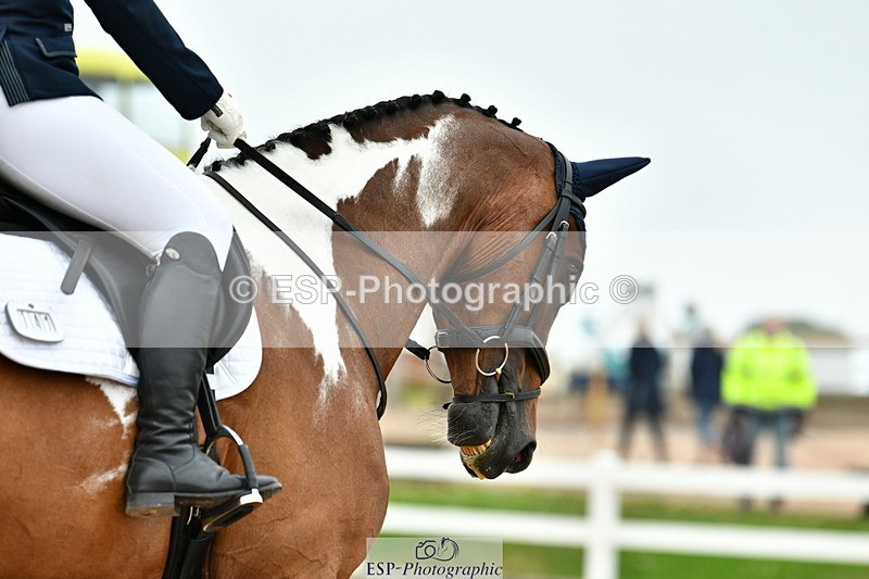 230630A-112941-01363 - Cls 5 Novice 37A