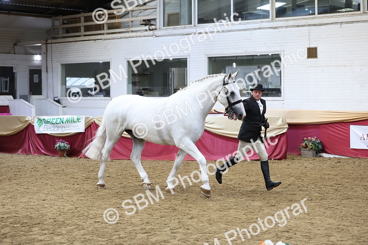 SBM_23674 - class 906 - Supreme Final - Ridden Pre Vet