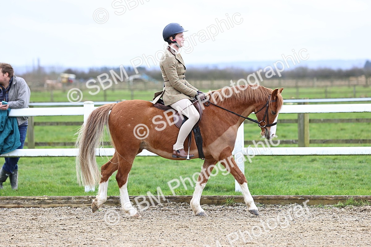 SBM_006728 - Class 29 - 30 - M&M Pure Novice Small-Large Breeds