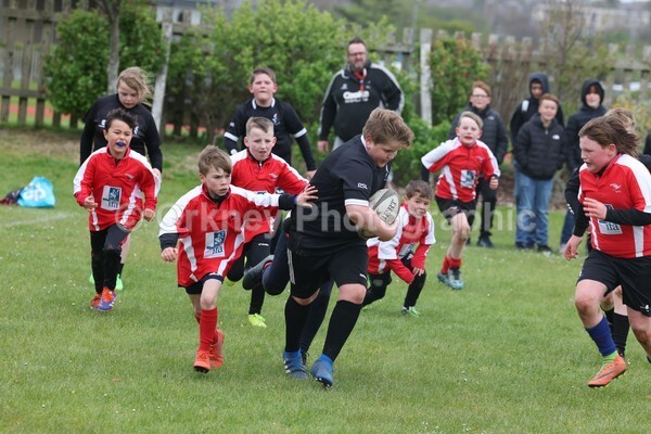 DAD22394 - Rookies/Mini Rugby on 7s Day