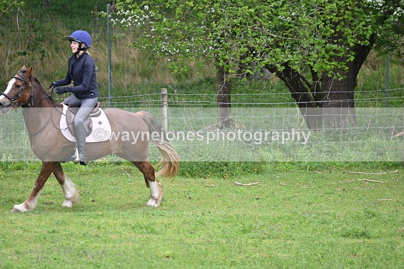 WJ6_3384 - A camera