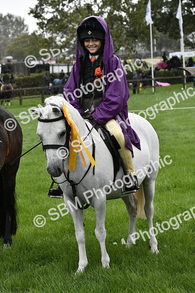SBM_35593 - S30 - Nursery Stakes Working Hunter Pony
