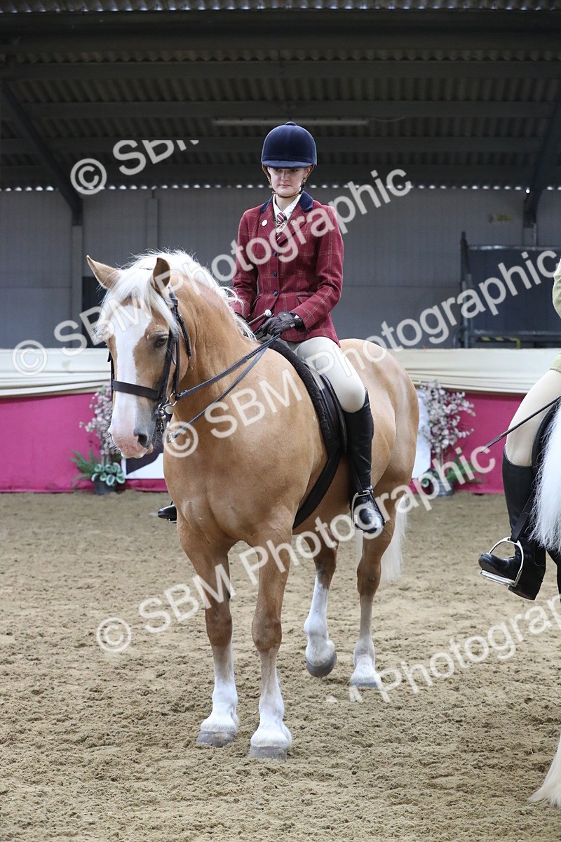 SBM_10464 - Class 102 Equitation (best rider) Adult