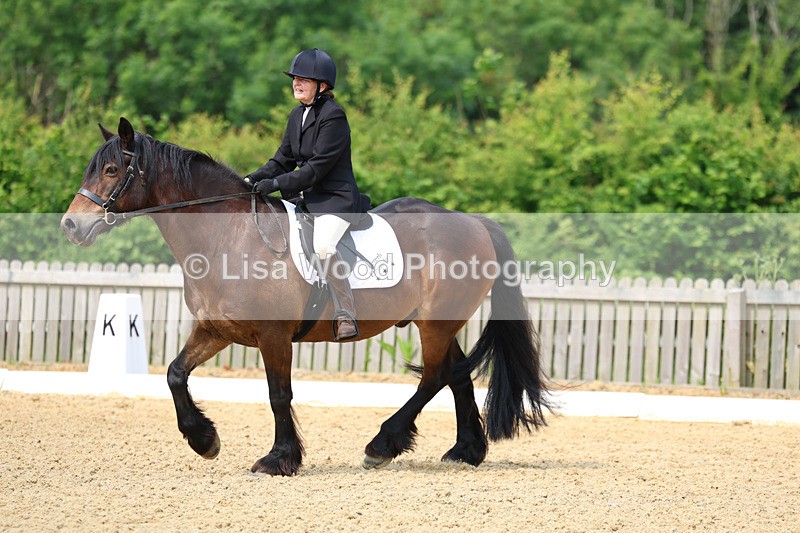 3E7A9085 - Class 2: Intro 1 2024 Section B