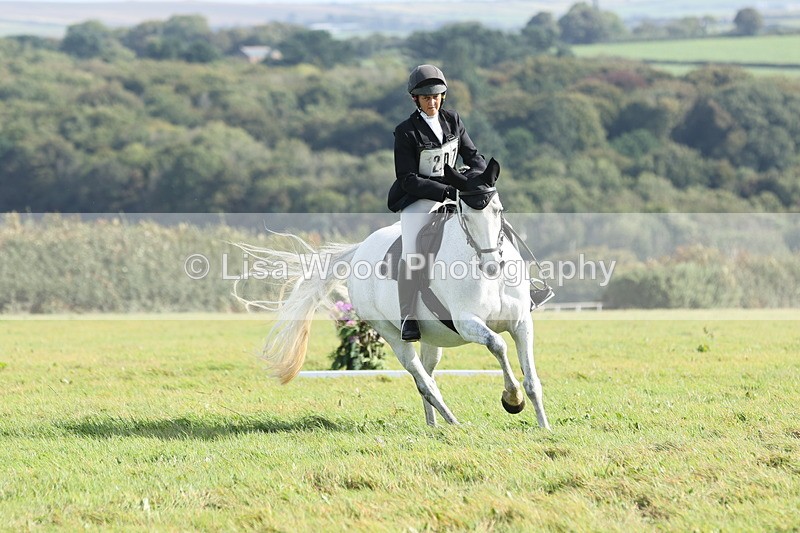 JPP_8099 - Class 2A: Trekenning Open: Dressage