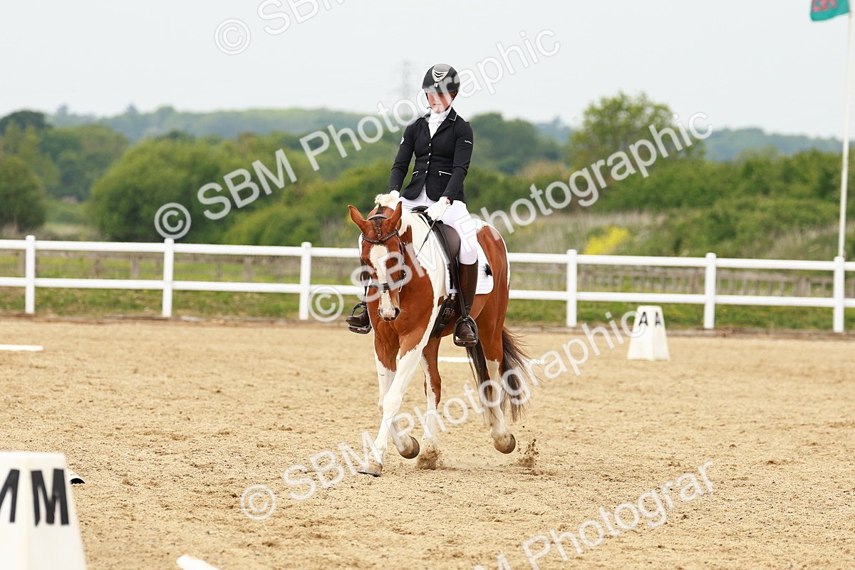 SBM_001694 - Class 7 - Novice 5