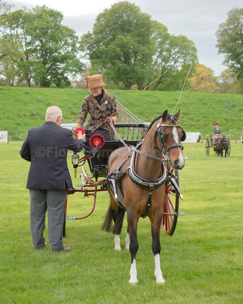 Attelage -1023 - CIAT Glamis 2026