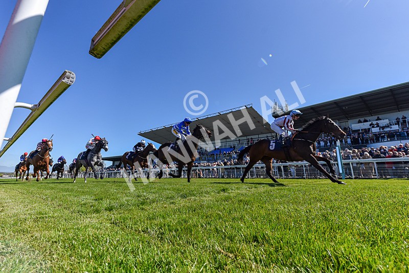 230426-Race 3-Im Next-6410 - Race 3