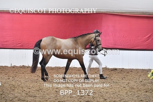 BPP_1372 - MORNING 9AM - 12PM