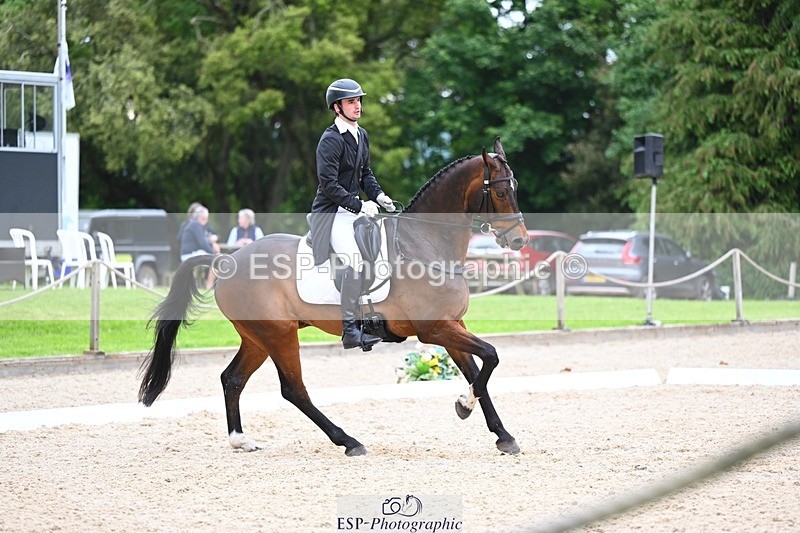240524-180041-11544 - 162-HAZZLE_DAZZLE-Henry_Hobby