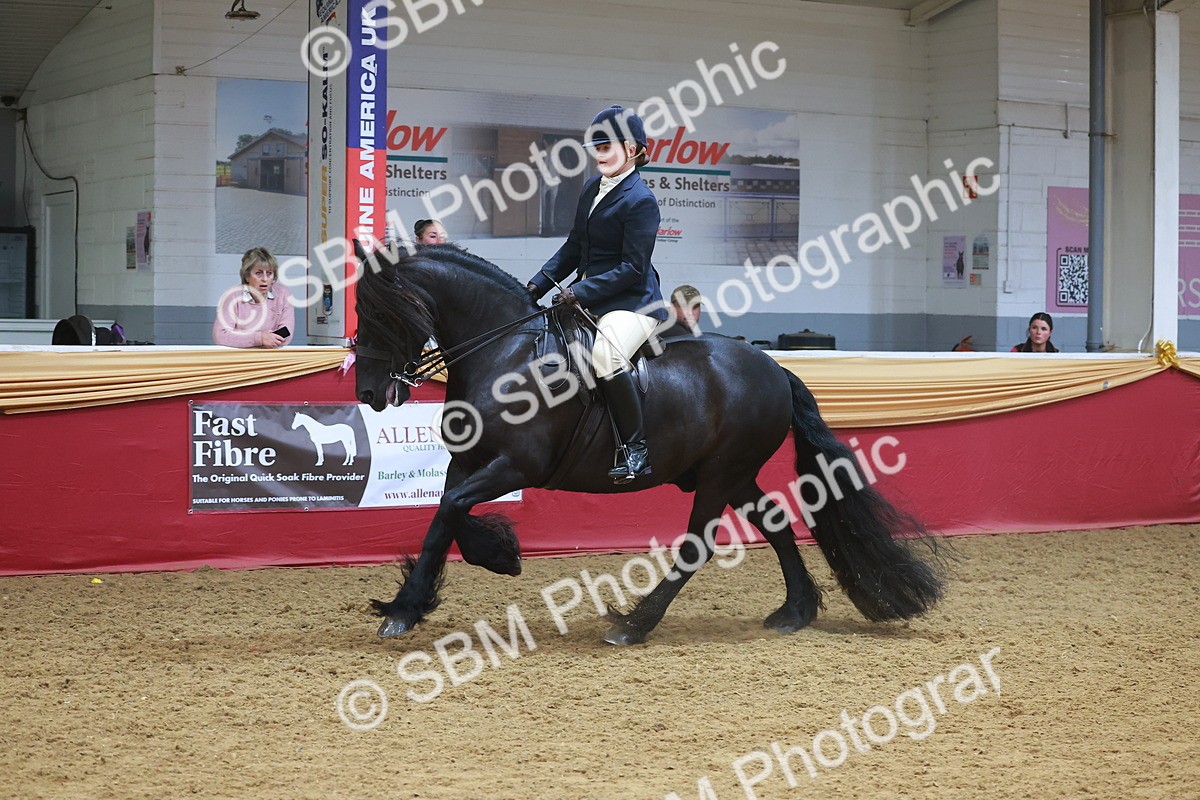 SBM_17774 - Class 952 - M&M Ridden Supreme Final