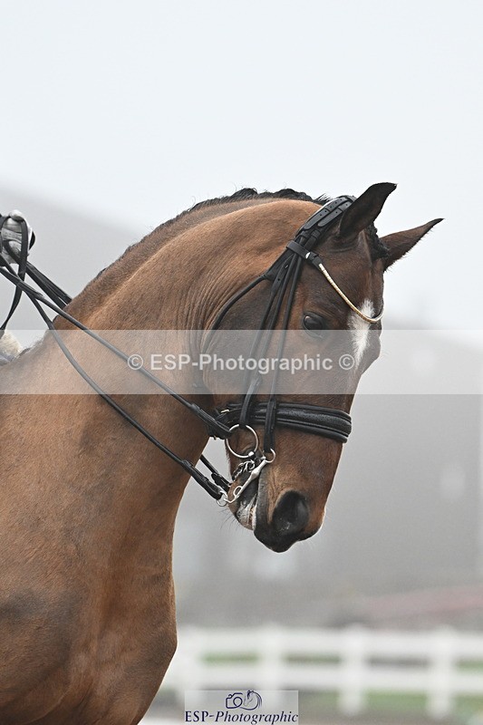 240217A-145929-03779 - 117-Jessie.Kirby-As.Well.de.la.Roche.CMF