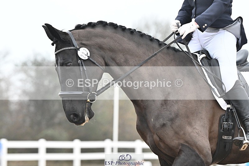 240217A-112709-01330 - 227-Jo.Roberts-Majestic.C