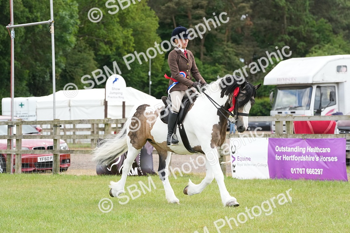 SBM_17692 - Class 107-108 - LIHS BSPS Performance Coloured Horse Pony