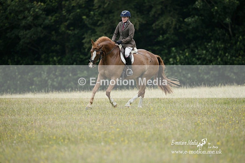BVRC 030721 8 - Bourne Valley Riding Club Dressage 03/07/21