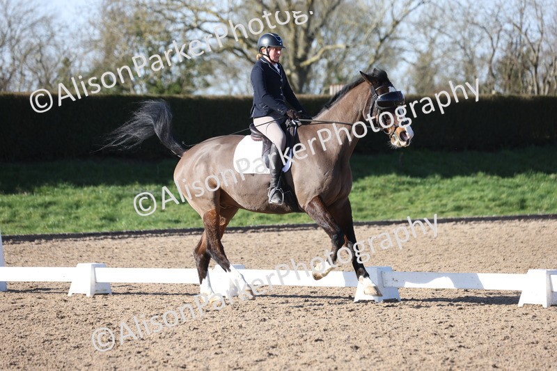 20260214-0486 - Class 5 - Novice 3