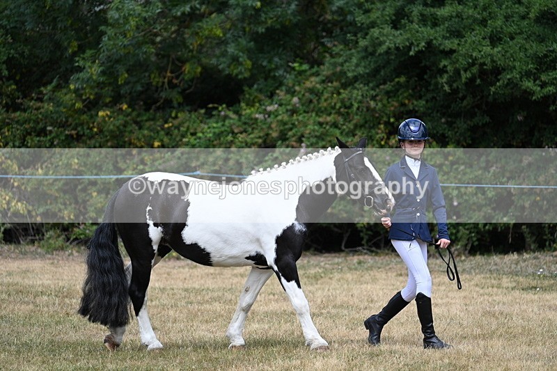 WJ7_1679 - Class 4 Prettiest Mare up to 14.2hh in hand