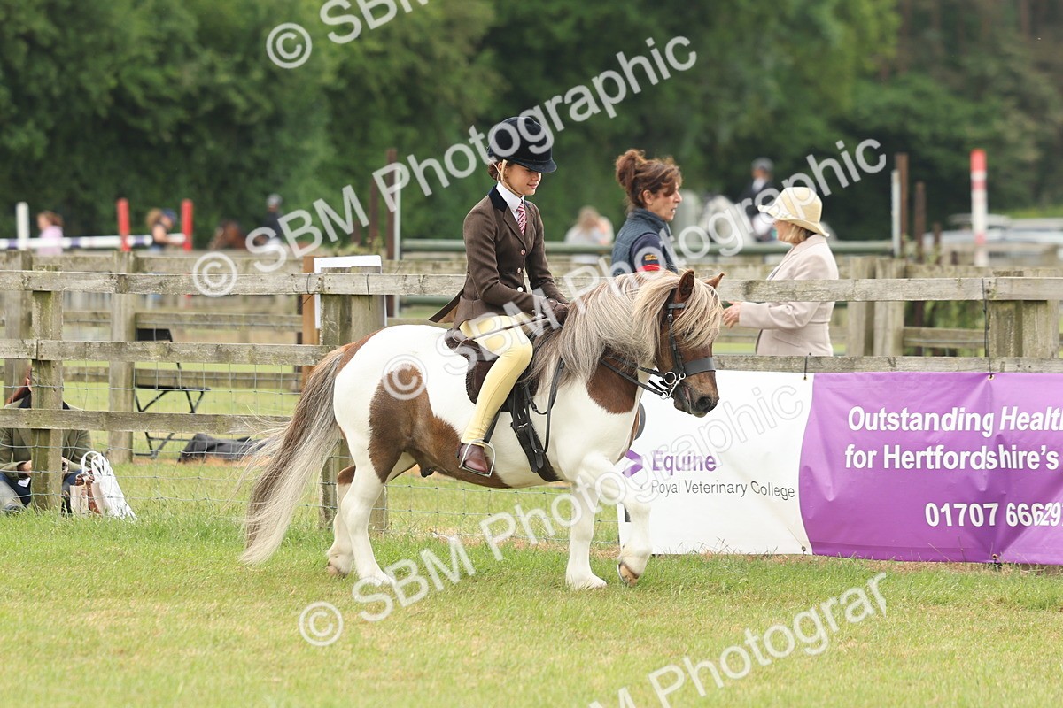 SBM_08892 - Class 78-80 - Ridden M&M Non Welsh Ponies