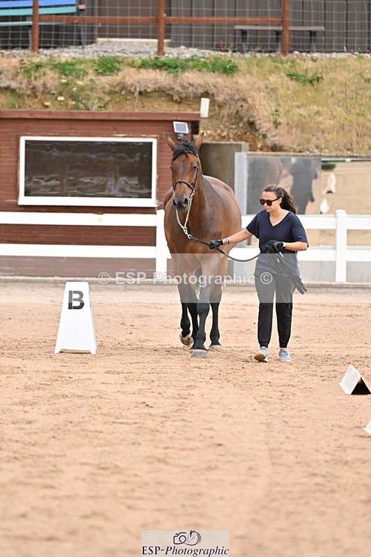 250716-151222-01754 - Trot Up 2.30 to 3.30