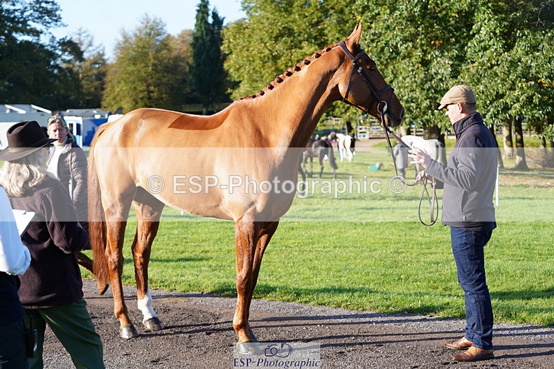 241026-100244-11564 - 054-Matthew.Heath-DASSETT.VENTURE