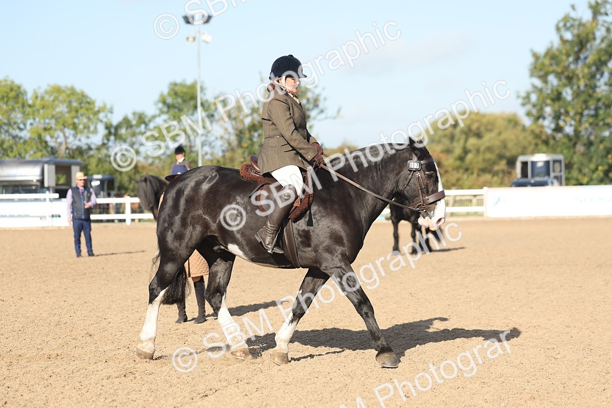 SBM_22186 - Class 802 - Ridden Groom Helpers Class