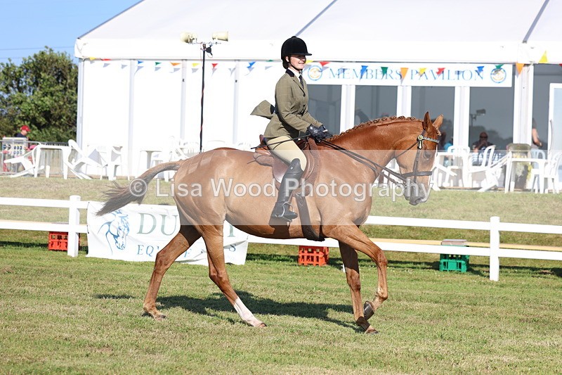 3E7A5296 - Class 2: Rising Star Large Hack/Riding Horse