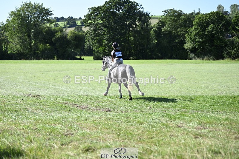 240811A-164451-06661 - 455-