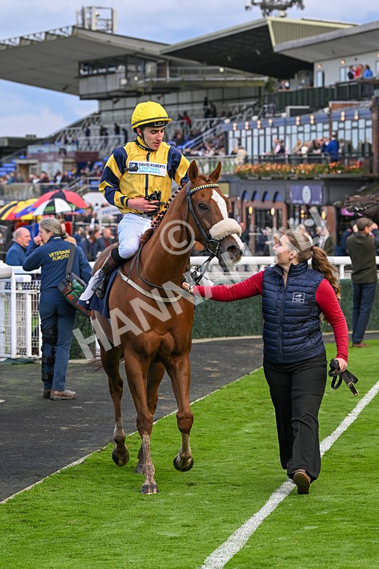 240924-Race 6-Captain Corelli-6727 - Race 6