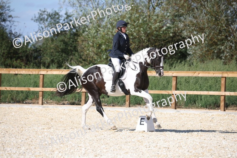 20260905-1567 - Class 5 - Novice 2