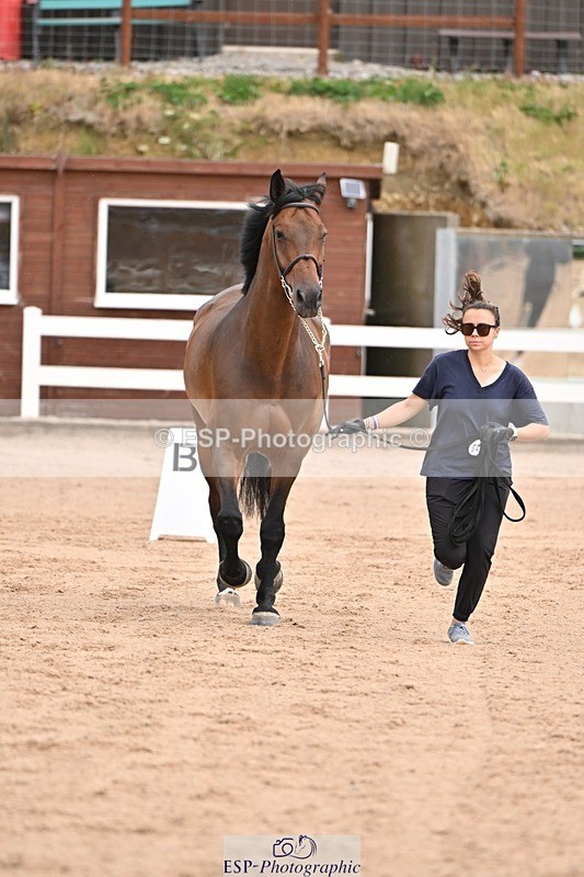 250716-151225-01758 - Trot Up 2.30 to 3.30