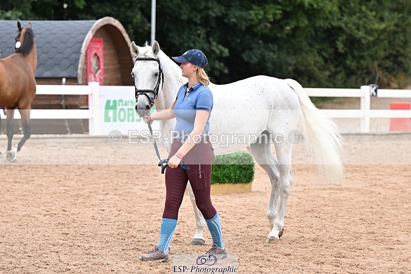 250716-140513-00900 - Trot Up 1.30 to 2.30