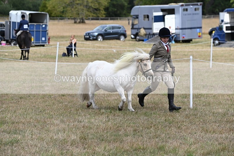 WJ6_5944 - Class 19 In-hand Veterans (Uploaded correct folder)