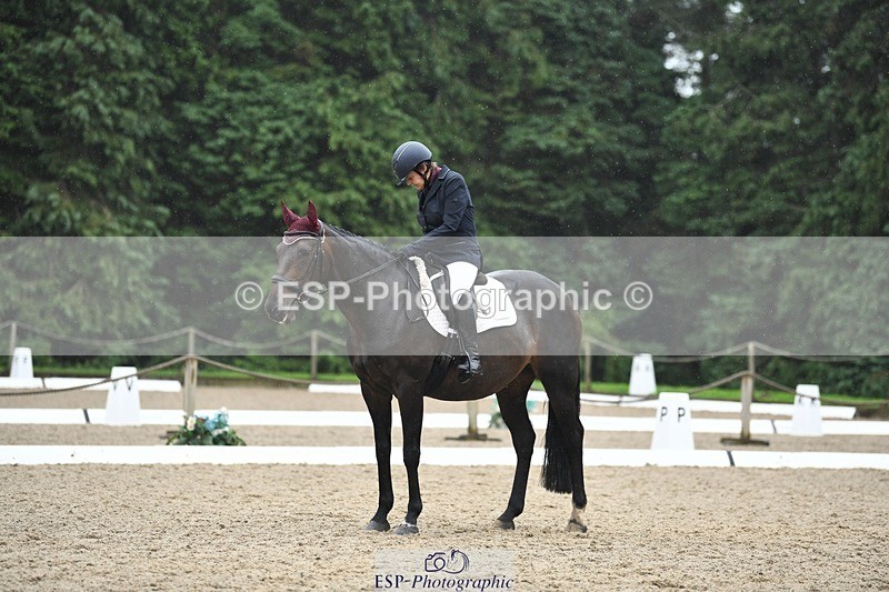 240720-124741-04960 - 134-Jane_Dyer-Maen_Valley