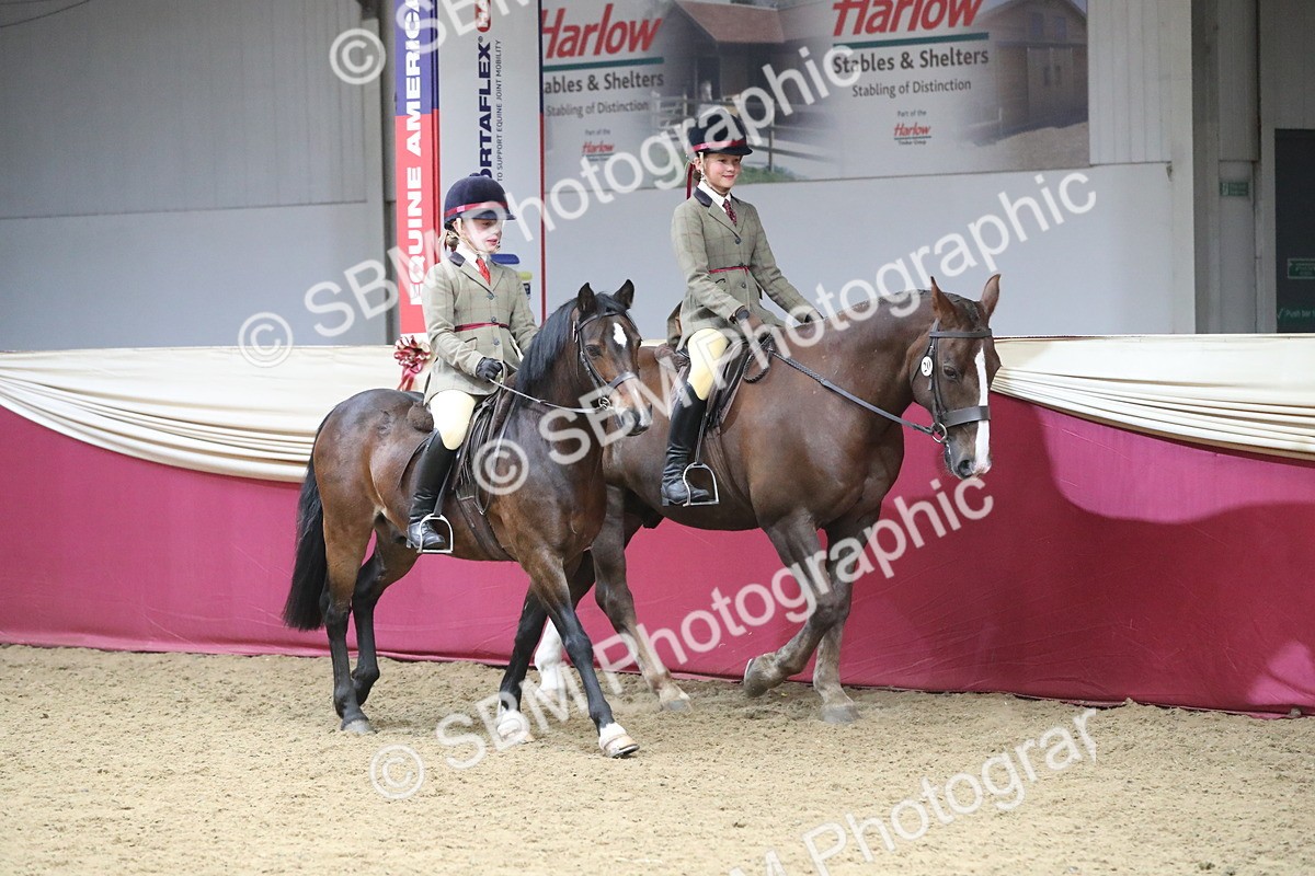 SBM_13635 - Class 109 Ridden Pairs - Section B
