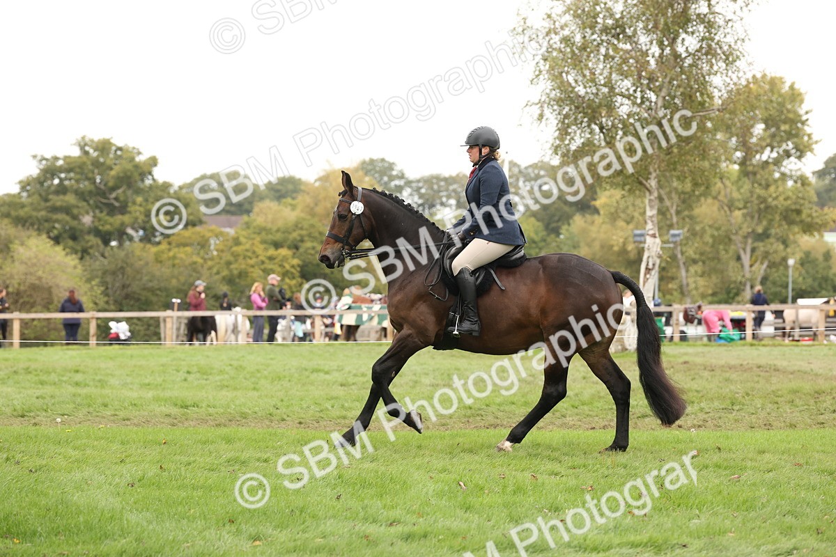 SBM_63013 - S64 - Foreign Breeds Ridden