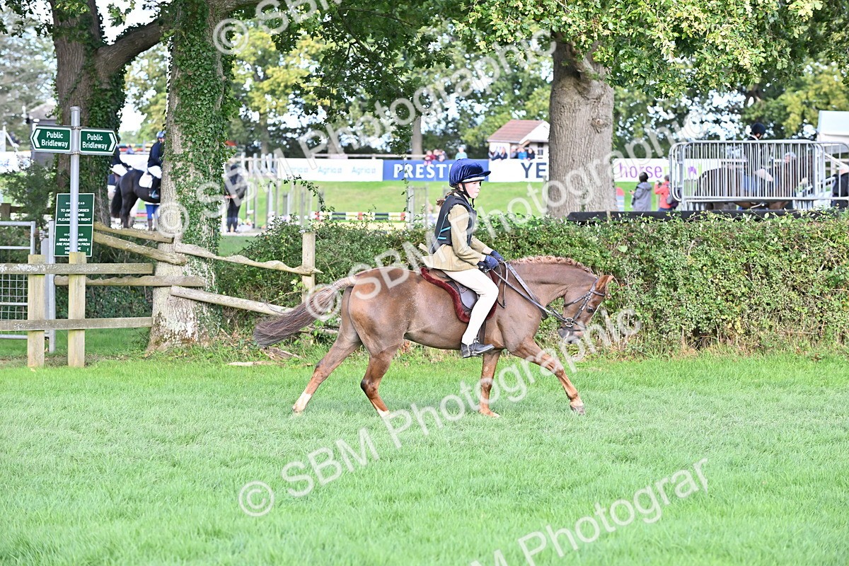 SBM_51238 - S22 - First Ridden show and show Hunter Pony