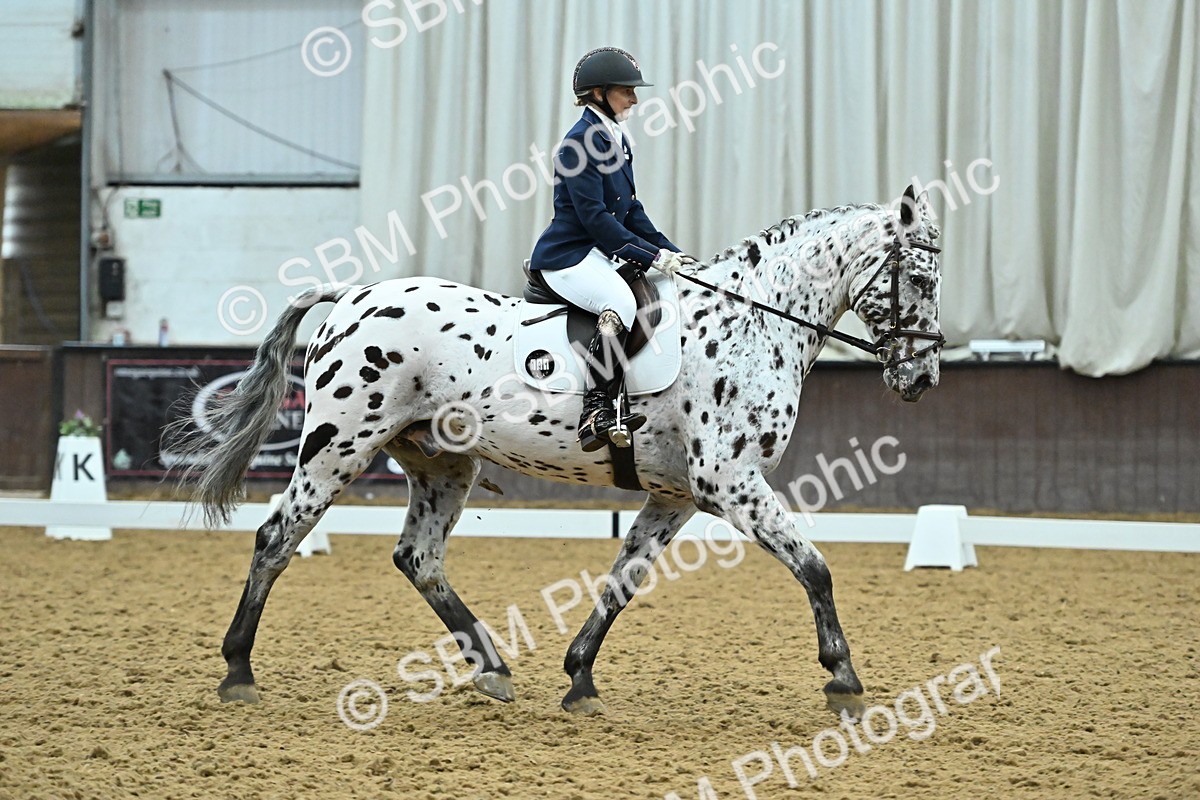 SBM_007494 - Class 81 - Novice 3