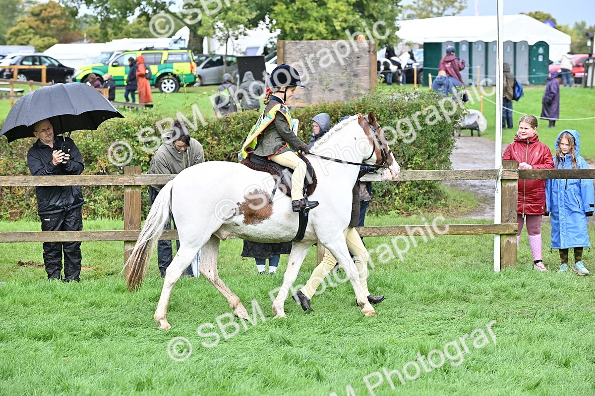SBM_43055 - S12 - Family Horse & Pony