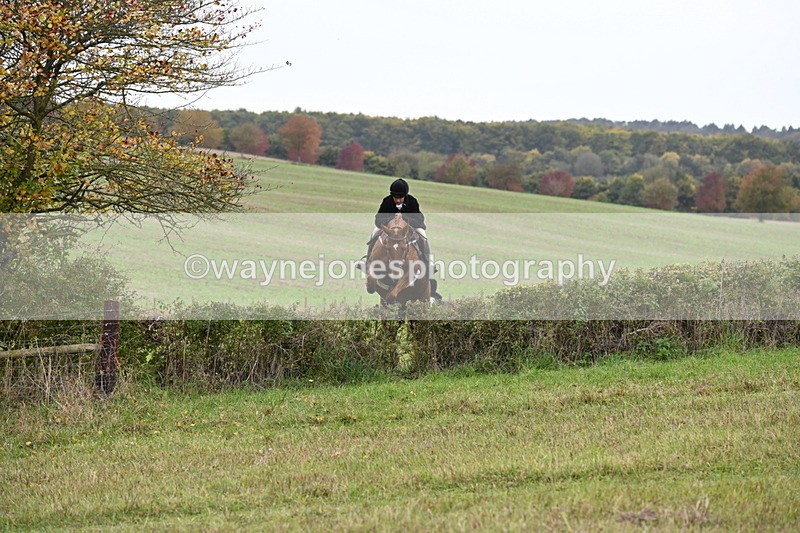 WJ6_1010 - Camera 2 Line 2