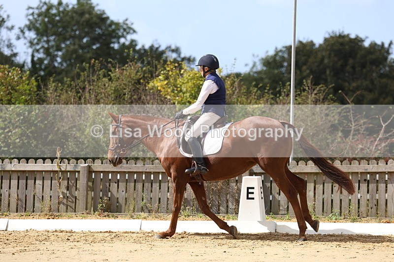 3E7A4029 - Class 9: Novice 6 Section B Championship