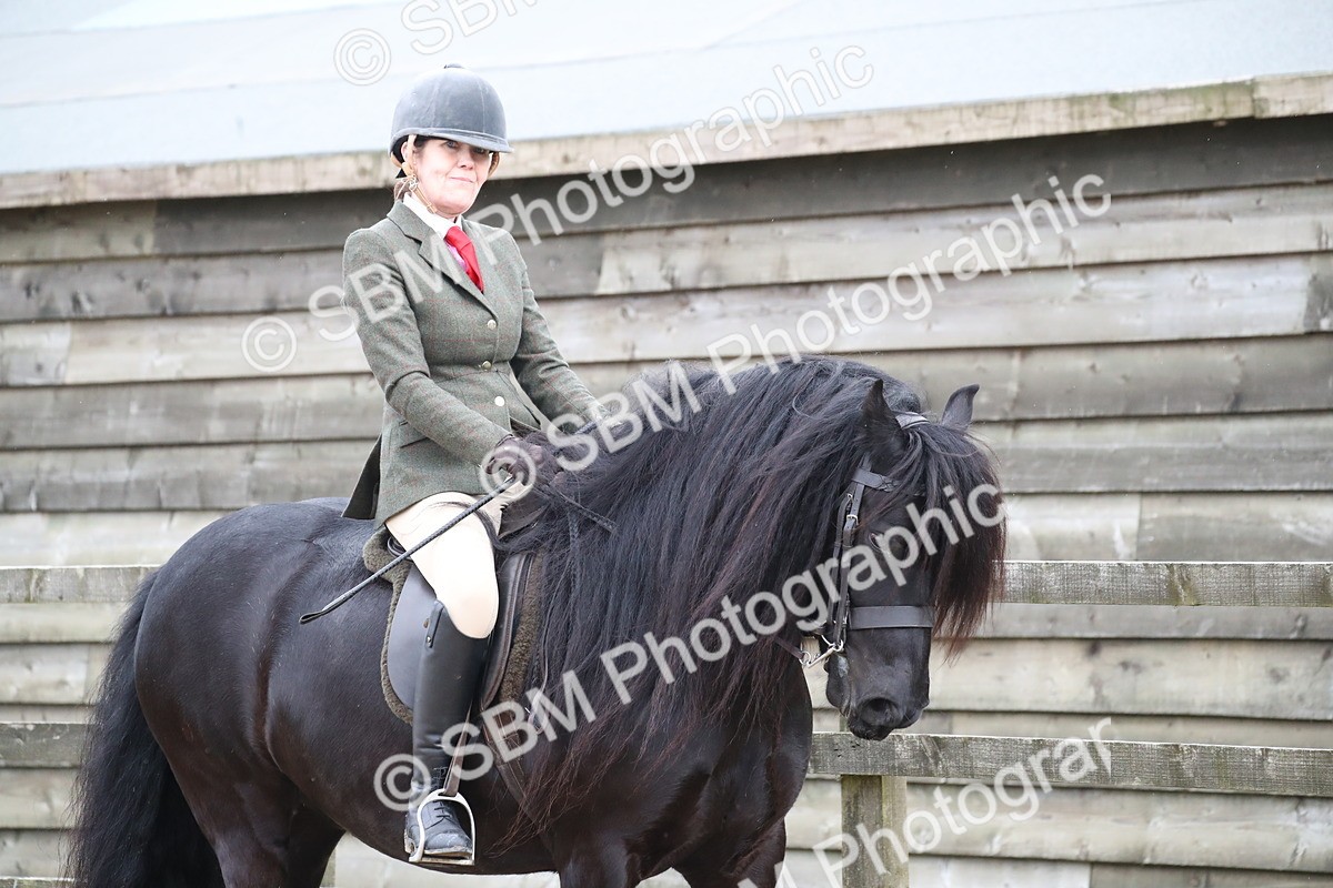 SBM_007135 - Class 10-13 - RIHS Small Large Breeds
