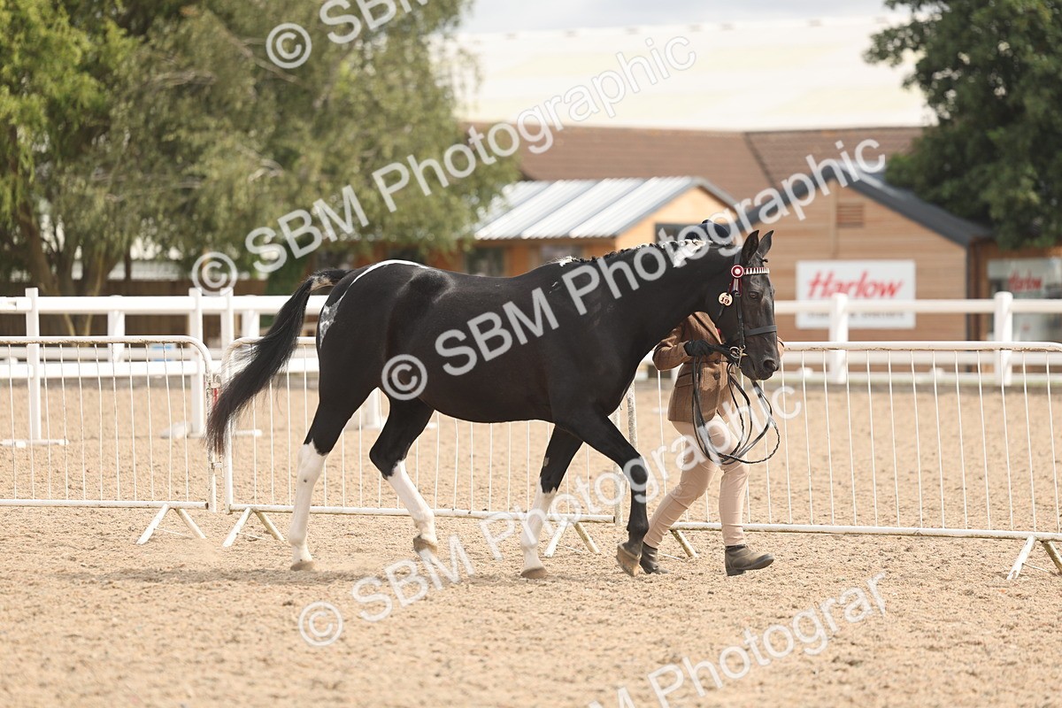 SBM_04939 - Class 20 - IH Veteran