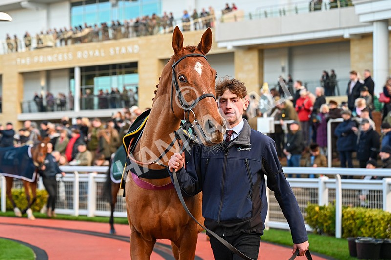 141224-Race 3-Eximia-0507 - Race 3